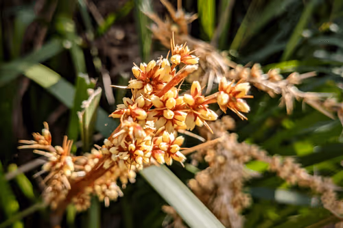 Item #39075669952795110311488058078452160275975432518977374571902800592626507579393 Media