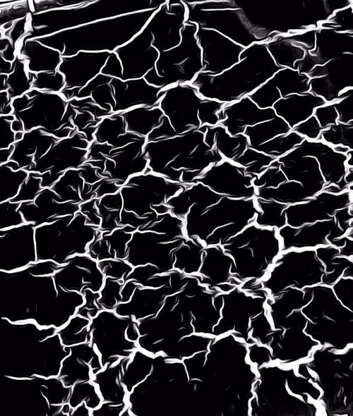 Item #26363452696448564677607507811535355388888413099510016234842399949368722456577 Media