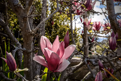 Item #39075669952795110311488058078452160275975432518977374571902800572835298279425 Media