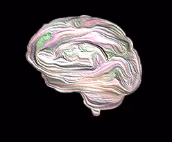 Item #47274287706610860454125701812110603452487779561236467685989762111808043220993 Media