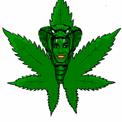 3629226787036885345407013839473637357726433756934680638690710312741989515265