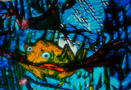 Item #41423174657448755454775180770704774351895892577704630438802697533579298078721 Media