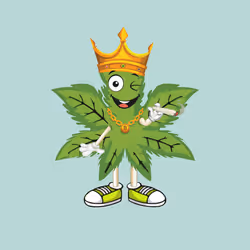 91388360688373327635579820732488516580785449605056093369104029428379824422913