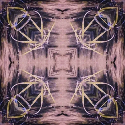 Item #33273431064062745158281459223994481396408298461003960329838769671141299585029 Media