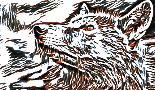 Item #22623297383426892917101335270761698949847758593200202890070986053262222819378 Media