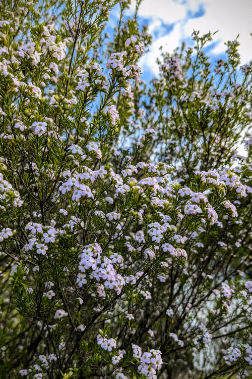 Item #39075669952795110311488058078452160275975432518977374571902800562939693629441 Media