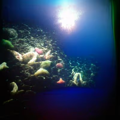 Item #58411191206420866531648904295842840009668329364042156519966528269118370480129 Media