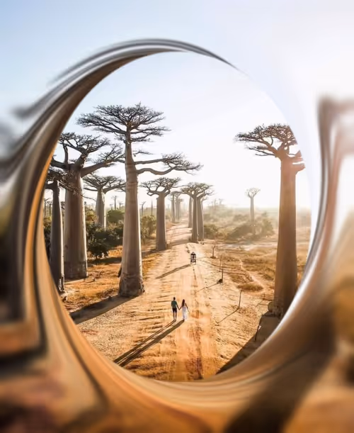 Item #109710830588480399268409455357539415839296167473445884238230358461531713175553 Media