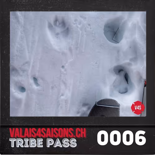 Item #39786290344722078492380092335018152769613718580951651570433323095275362844673 Media