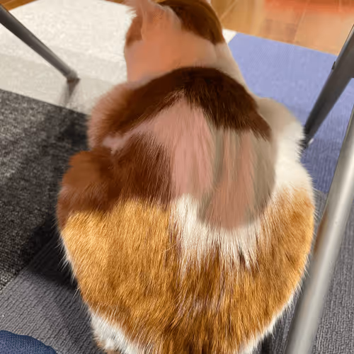 Item #57432309319676179700798702069366385585354272226932054472084542136548451155969 Media