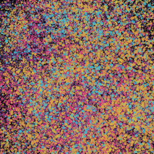 Item #7965548957634048696058756427613810033332288381231321723297303184497017094145 Media