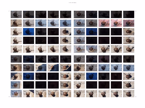 Item #99206175731752603969632246751396839615347692654100145142238794312688712286210 Media