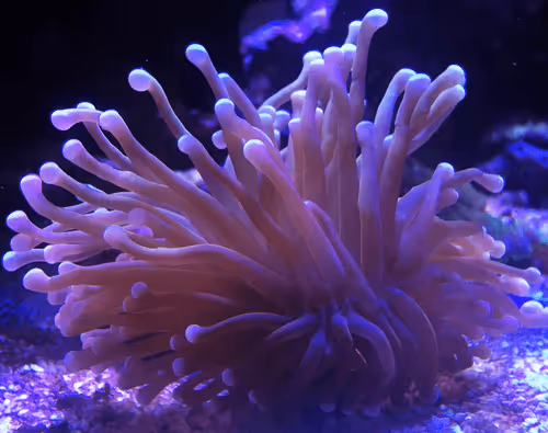 Item #51224233134692535280147586850549054275248505928412282445381314869348869865473 Media