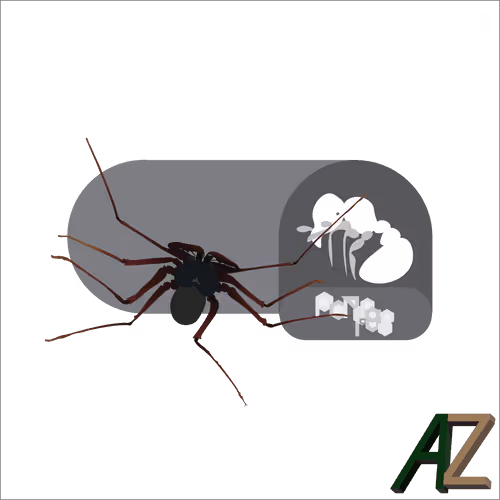 Item #24705041787920661933578063921032196695044586853584662932146667898412187254789 Media