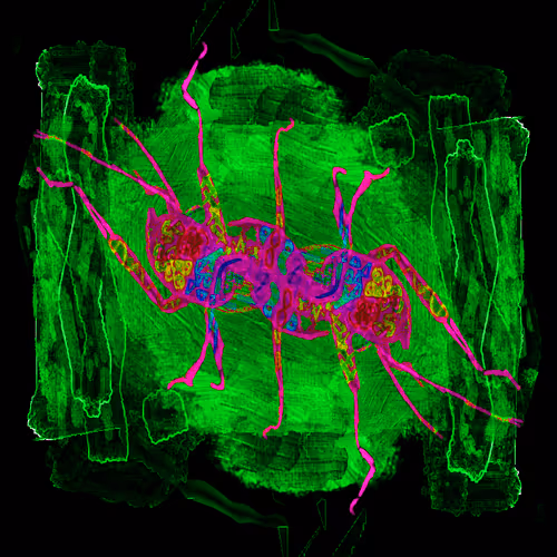 Item #80926432860847288351557924068159633664804178470775081465336396203462265667585 Media