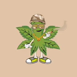 91388360688373327635579820732488516580785449605056093369104029377802289545217