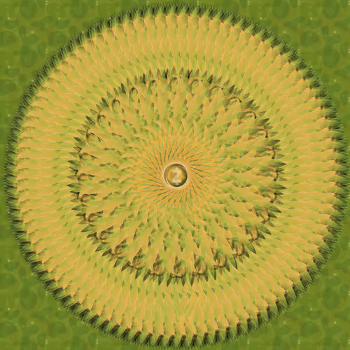 Item #70515400551738989325796294287873466053397379744939767615260616521371841724417 Media