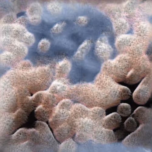 Item #58241160855422744817468407088196322100109565521561100950236908445300296777729 Media