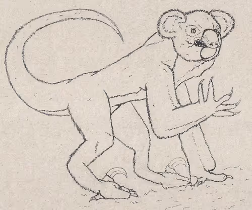 Item #5550731709561087774082474047262323462322341210229846190711609856007589593188 Media