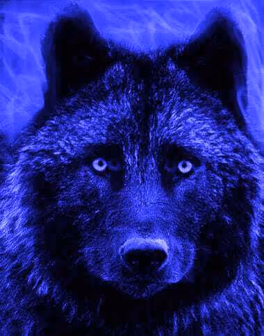 Item #22623297383426892917101335270761698949847758593200202890070986088446594908185 Media