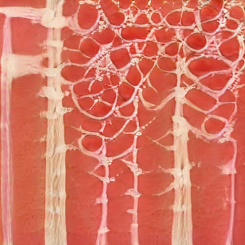 Item #58241160855422744817468407088196322100109565521561100950236906369422343536641 Media