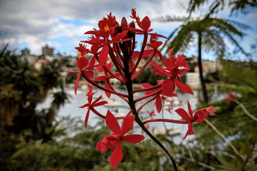 Item #39075669952795110311488058078452160275975432518977374571902800590427484323841 Media