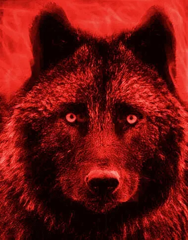 Item #22623297383426892917101335270761698949847758593200202890070986091745129791513 Media