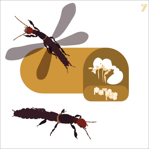 Item #24705041787920661933578063921032196695044586853584662932146667902810233765890 Media