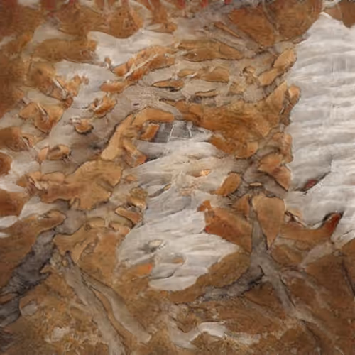 Item #58241160855422744817468407088196322100109565521561100950236907120388785307649 Media