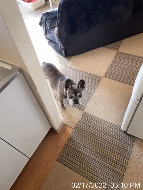 Item #99685864258770601277757069699041273913103300030191572471139504687825213718529 Media