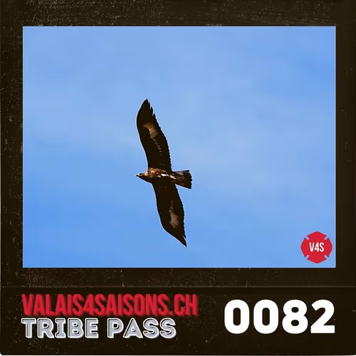 Item #39786290344722078492380092335018152769613718580951651570433323181037269811201 Media