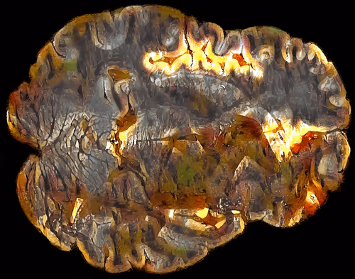 Item #29877578668728852178902598419785793077778618348046200683544678222790572113921 Media