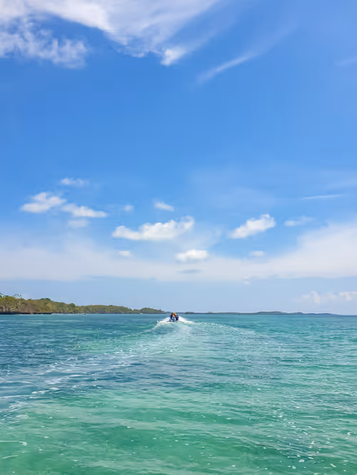 Item #70066624690397552921667918270494294154286600665403719095219808709260003508225 Media