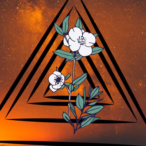 Item #17107238486985269813662708805255422919163138663650426261903578899185007591425 Media