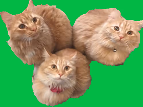 Item #94805265999709624542573221324772378019818175988873368548427765410690150432769 Media