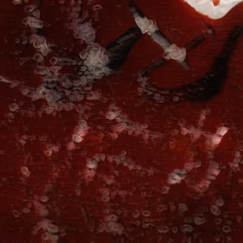 Item #58241160855422744817468407088196322100109565521561100950236908090158041006081 Media