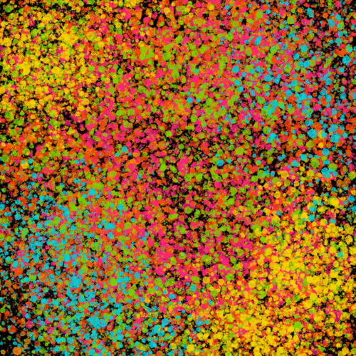 Item #7965548957634048696058756427613810033332288381231321723297303213084319416321 Media