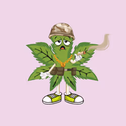 91388360688373327635579820732488516580785449605056093369104029351414010478593