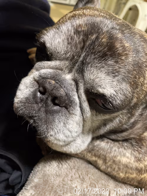 Item #99685864258770601277757069699041273913103300030191572471139504777985167196161 Media