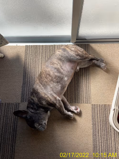 Item #99685864258770601277757069699041273913103300030191572471139504622954027679745 Media