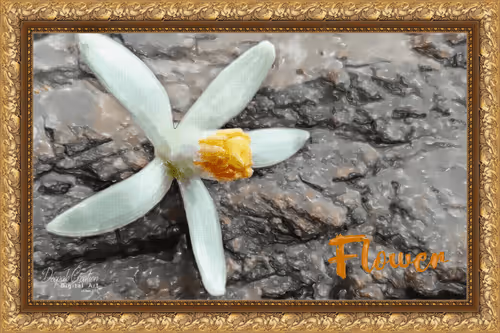 Item #54982935848129991973556064689647480390460762275352014366591179472697701695489 Media