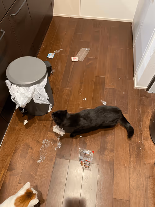 Item #57432309319676179700798702069366385585354272226932054472084542139846986039297 Media