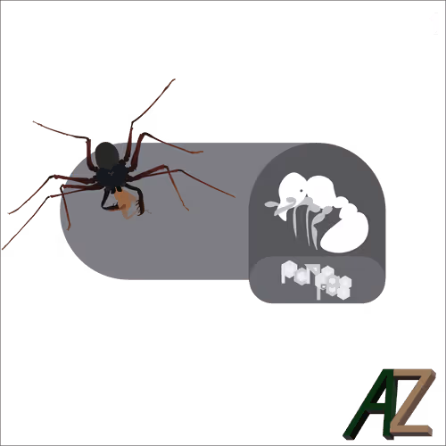 Item #24705041787920661933578063921032196695044586853584662932146667896213163999237 Media
