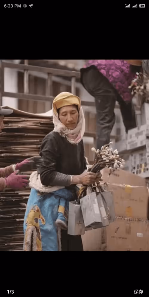 Item #58950068348550057911144521318690562335564137558253402872864194844056721817602 Media