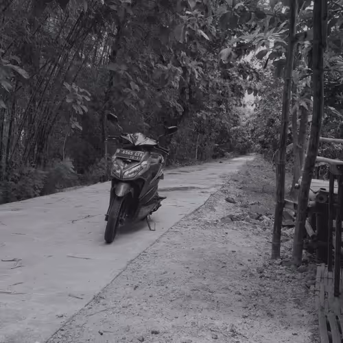 Item #68559569431204229879954683304597208139439570669218228257319616605707328028673 Media