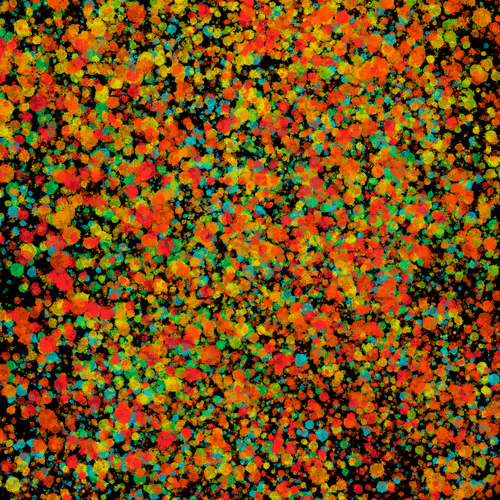 Item #7965548957634048696058756427613810033332288381231321723297303188895063605249 Media