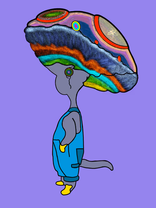 Item #12097940012645407428971594703016372801196783611664434439906482266275691102218 Media