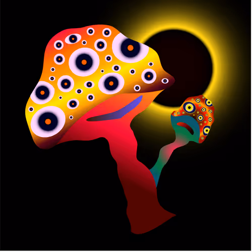 Item #69353682132584287921640915502496302946504347868100656215909837763961881100289 Media