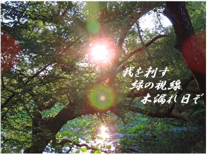 Item #105860209069510851658697483595549526517143773271628059867265555036896122372196 Media