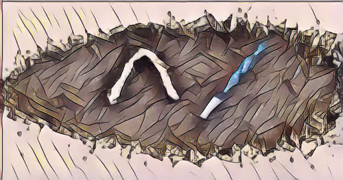 Item #42093524335751494135249053847432370819617106134141189519089943488279189923600 Media